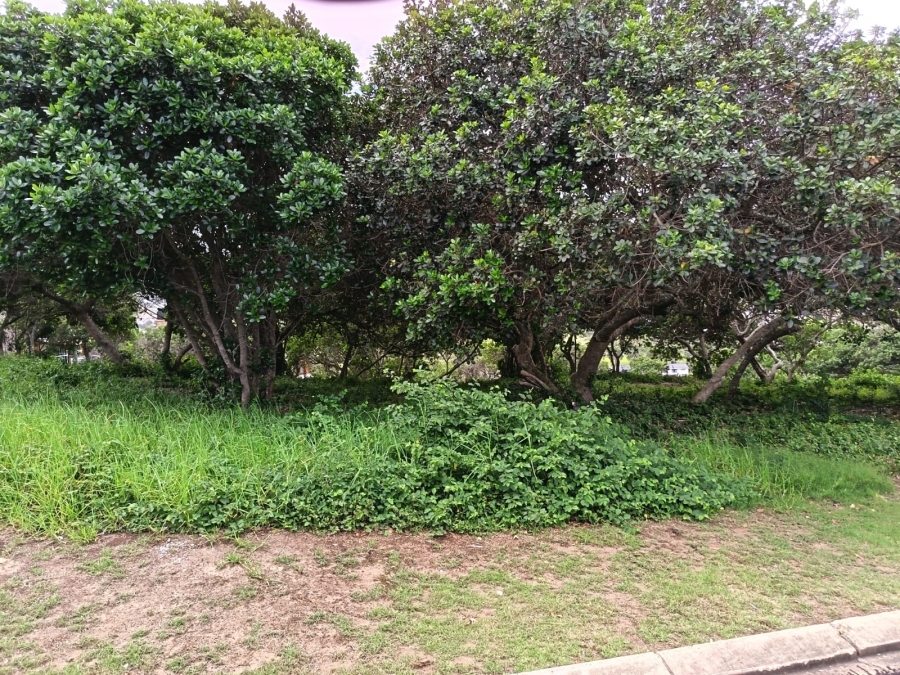 0 Bedroom Property for Sale in Bergsig Western Cape